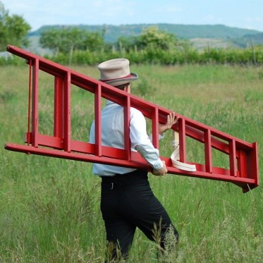 Cirque en cascade - Les Nouveaux Nez