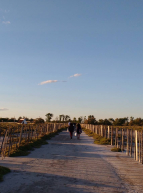 Noël Gardian au Musée de la Camargue