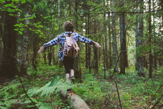 Top des balades nature et patrimoine en famille autour de Strasbourg