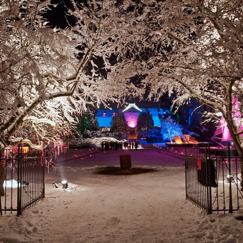 Noël au Jardin au Parc de Wesserling