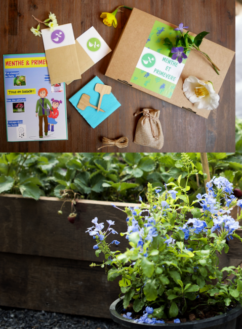 Box enfant Menthe et Primevère