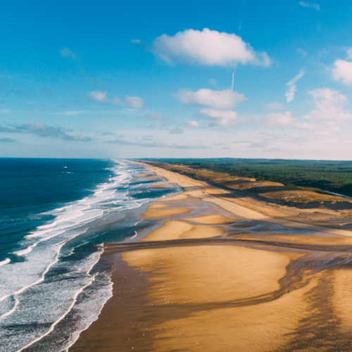 Littoral Landes
