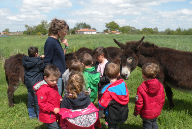 La Ferme de Paillac : enfants et animaux