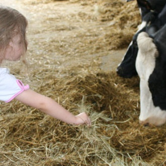 Bergerie Nationale de Rambouillet - Petite fille avec des vaches ©Yvelines