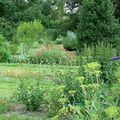 Jardin botanique de la faculté de Pharmacie