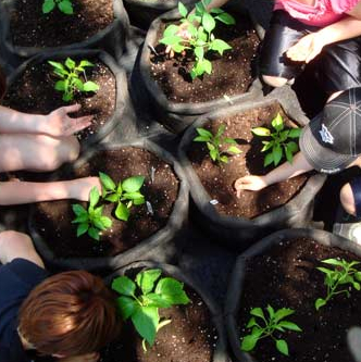 Les vendredis du jardin des cultures à Lille