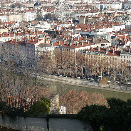 Jardin des curiosités - Jardin du Bélvédère