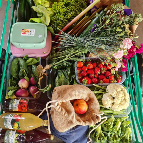 Cueillette de Férin : Fruits et légumes récoltés