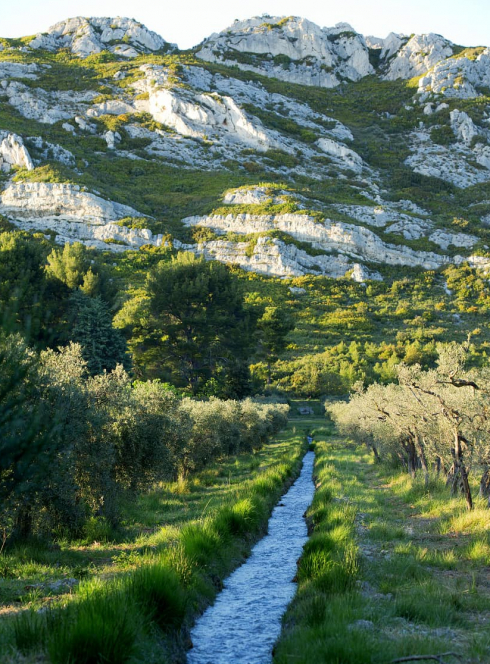 Département des Bouches-du-Rhône
