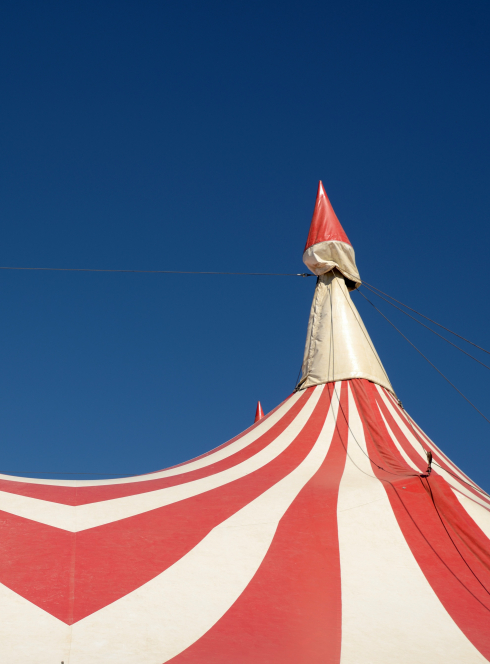 Découvrez l'histoire du cirque