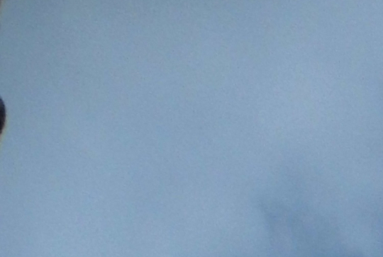 Vogue des Marrons 19