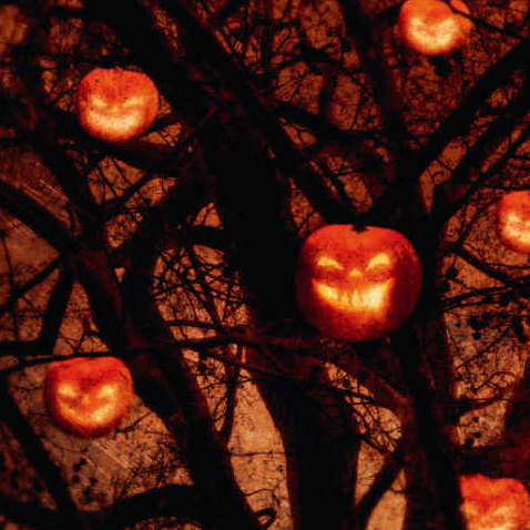 L'Arbre d'Halloween par Ray Bradbury