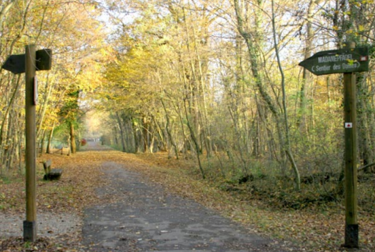 Réserve naturelle nationale du massif forestier de Neuhof-Illkirch