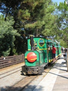 Petit train touristique du Cap Ferret