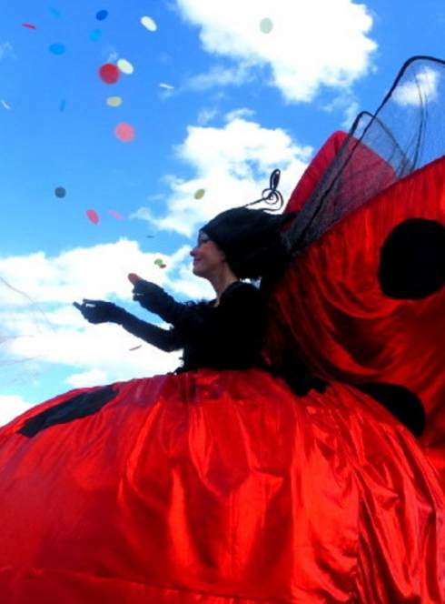 Bouton d'Or - Cie Biloba