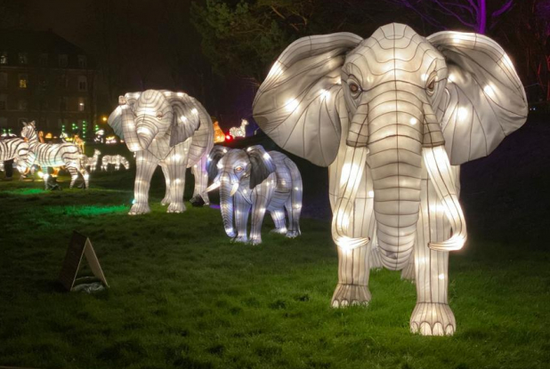 L'Odyssée lumineuse : éléphants
