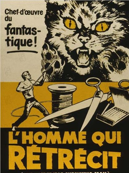 L'homme qui rétrécit