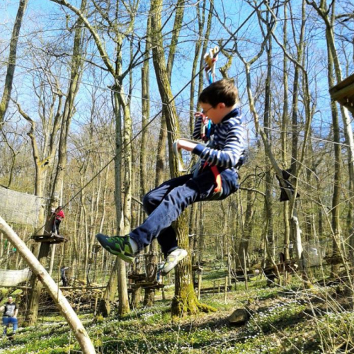 Yapluka Park petit garçon qui fait de l'accrobranche