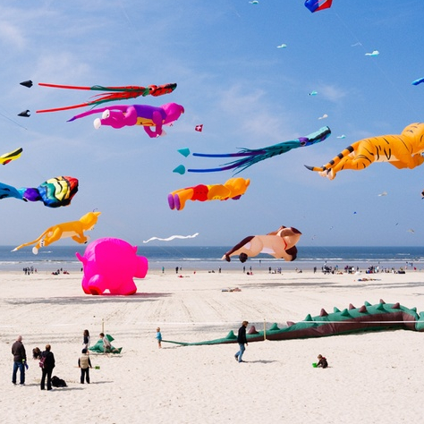 Fête des cerfs volants à Hourtin