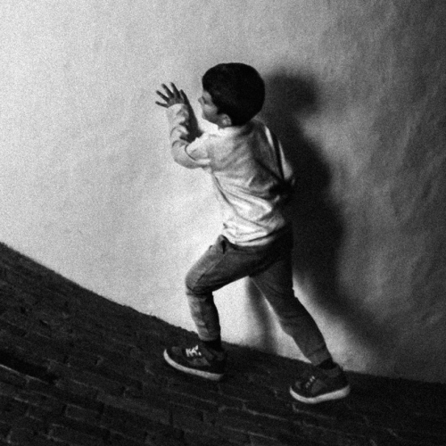 Le Carnaval des animaux - Orchestre national de Lyon