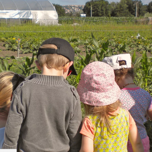 Le Pré du Puy : visites pédagogiques