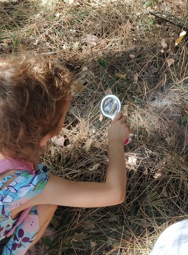 Le Printemps de la Forêt du Bourgailh : insecte à la loupe