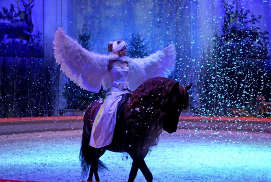 Les Grandes Écuries de Chantilly - Le Prince et le Cygne