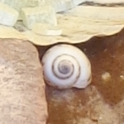 Ateliers archéologie et préhistoire