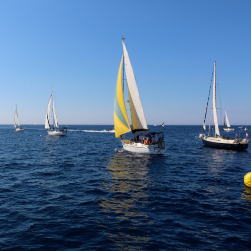 Les Voiles de Marcel Pagnol