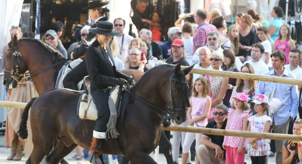 Cheval Roi : le salon du cheval à Toulouse