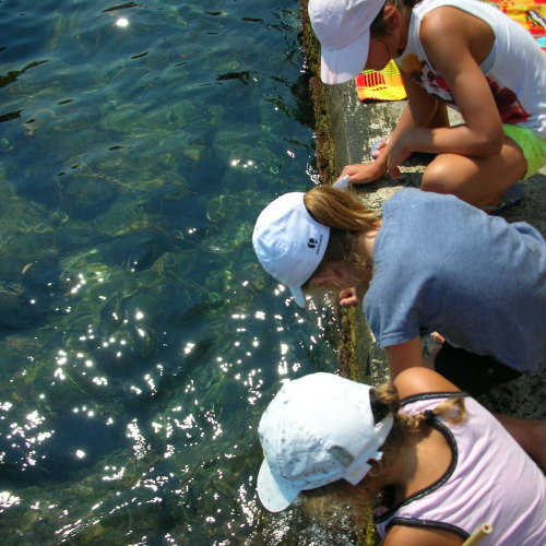Club Nature au Centre de Découverte du Monde Marin
