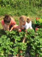 Fête des fruits et des légumes frais à Lille