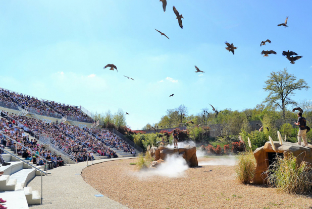 Spectacle d’oiseaux « Les Maîtres des Airs »