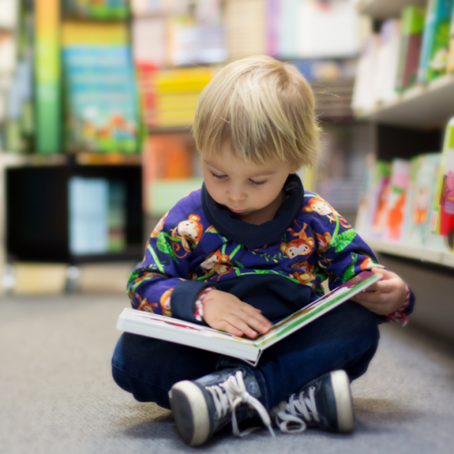 Biblis en folie Rennes