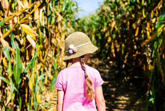 Labyrinthe : activité loisirs outdoor