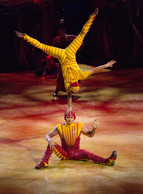 Cirque du Soleil - Ovo : acrobaties