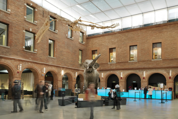 Hall du Muséum de Toulouse
