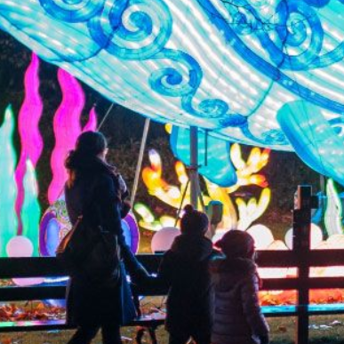 China Light Festival