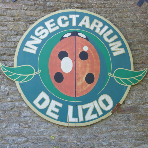 insectarium de Lizio