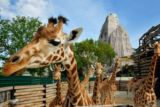 Parc zoologique de Paris