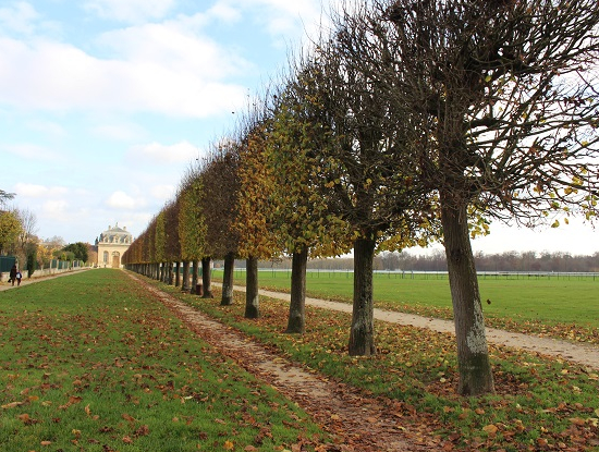 Musée du Cheval - Chantilly @CitizenKid