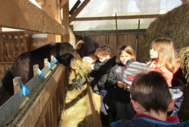 La Ferme de Paillac : rencontre avec les animaux