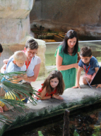 Vacances à l'aquarium de Saint-Malo