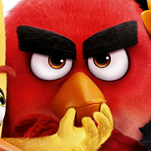 Angry Birds, le film
