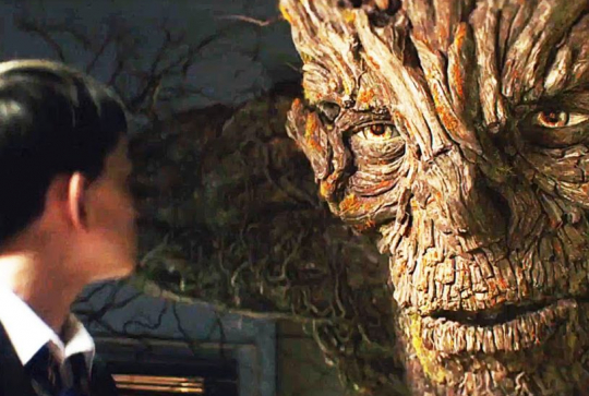 Quelques minutes après minuit : l'arbre