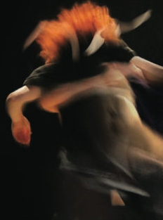 Carnages - L'entreprise