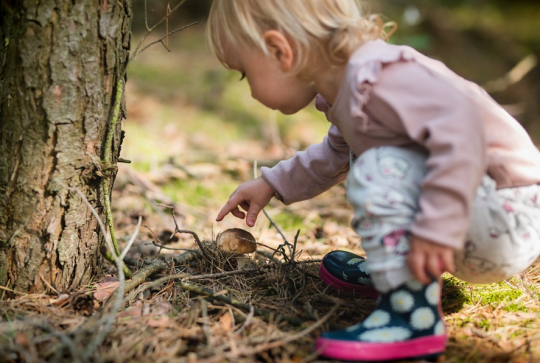 Cueillette de champignons : les bonnes pratiques avec les enfants