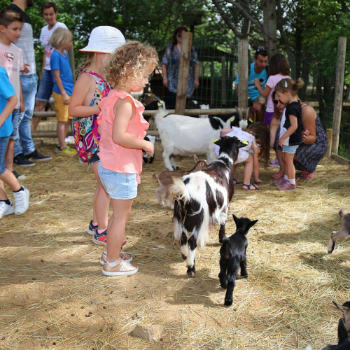 Les Petits fermiers à Lansargues