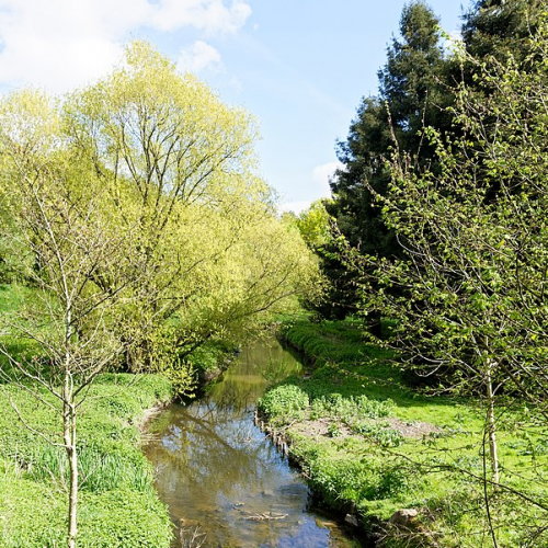 La Chézine avant son passage au Parc de Procé par François de Dijon