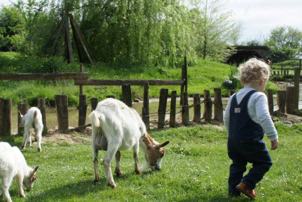 Château des Énigmes
